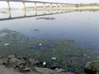 Pollution: | प्रदूषण :