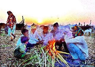 Nifand @ 6 | निफाड @ ६