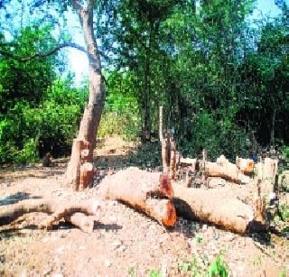 Freeze the salary of additional commissioner | अतिरिक्त आयुक्तांचा पगार गोठवा Freeze the salary of additional commissioner | अतिरिक्त आयुक्तांचा पगार गोठवा