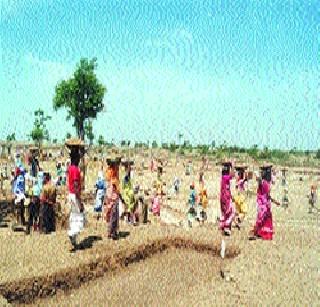 Rohio's five thousand works in five districts | पाच जिल्ह्यांत ‘रोहयो’ची पाच हजारांवर कामे सुरू! Rohio's five thousand works in five districts | पाच जिल्ह्यांत ‘रोहयो’ची पाच हजारांवर कामे सुरू!