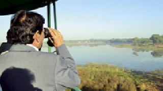 Avoid the use of chemicals to conserve cranes | सारसांच्या संवर्धनासाठी रसायनांचा वापर टाळा