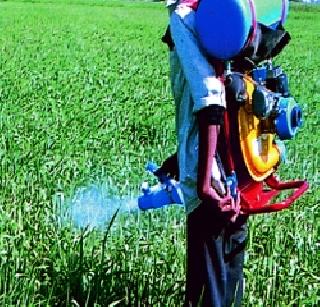 Agriculture University emphasizes biological pest control! | कृषी विद्यापीठाचा जैविक कीड नियंत्रणावर भर!