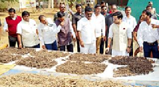 Forest Department tried to make angry people angry | लोकप्रतिनिधींचा राग शमविण्याचा वन विभागाचा प्रयत्न