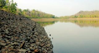 The irrigation area has increased by 11 thousand hectare | सिंचन क्षेत्रात ११ हजार हेक्टरने वाढ The irrigation area has increased by 11 thousand hectare | सिंचन क्षेत्रात ११ हजार हेक्टरने वाढ