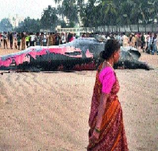 Serious game | गंभीर खेळ