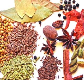 Navi Mumbai Police's 'Masala' | नवी मुंबई पोलिसांचा कौटुंबिक ‘मसाला‘ Navi Mumbai Police's 'Masala' | नवी मुंबई पोलिसांचा कौटुंबिक ‘मसाला‘