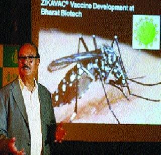 'Jhika' vaccine first invention in India! | ‘झिका’ लसीचा सर्वप्रथम भारतात शोध! 'Jhika' vaccine first invention in India! | ‘झिका’ लसीचा सर्वप्रथम भारतात शोध!