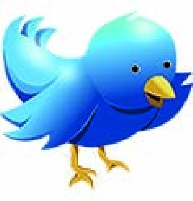 How to run a Twitter cell? | ट्विटर सेल चालतो कसा? How to run a Twitter cell? | ट्विटर सेल चालतो कसा?