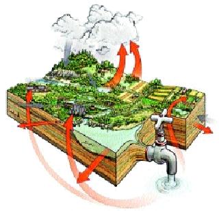 Water budget now needs water to save water! | पाणीबचतीसाठी आता हवे गावोगावचे ‘वॉटर बजेट’!