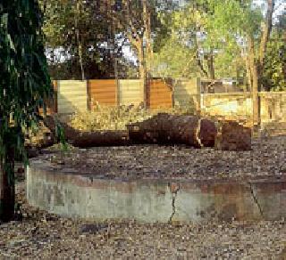 The encroachment of SDO on the authority of 'CO'! | ‘सीओं’च्या अधिकारावर एसडीओंचे अतिक्रमण ! The encroachment of SDO on the authority of 'CO'! | ‘सीओं’च्या अधिकारावर एसडीओंचे अतिक्रमण !