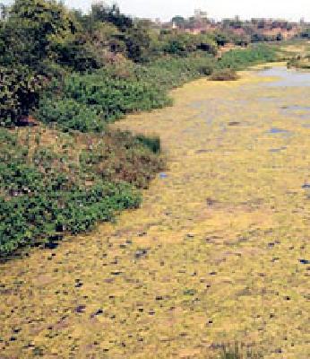 In the district 98 villages, in the 'minidanger zone' | जिल्ह्यात ९८ गावे ‘मिनीडेंजर झोन’मध्ये In the district 98 villages, in the 'minidanger zone' | जिल्ह्यात ९८ गावे ‘मिनीडेंजर झोन’मध्ये