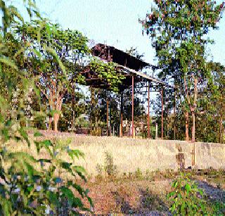 Environmental concerns about death ... | मरणाच्या सरणाला पर्यावरणाची चिंता...