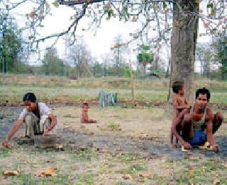 Transform from Mohfulant to possible | मोहफुलांतून कायापालट शक्य