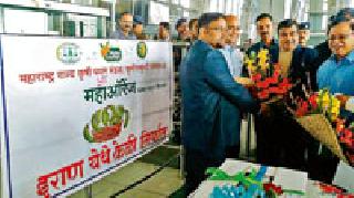 Banana exports for the first time since Vidarbha | विदर्भातून प्रथमच केळींची निर्यात Banana exports for the first time since Vidarbha | विदर्भातून प्रथमच केळींची निर्यात