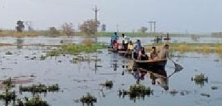 Fisheries death due to electrocution | मासेमाराचा विद्युत करंटने मृत्यू