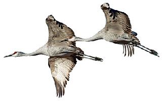 The true story of true love. | सच्च्या प्रेमाची अधुरी कहाणी. The true story of true love. | सच्च्या प्रेमाची अधुरी कहाणी.