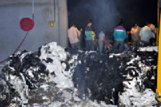 Cotton Coal | कापसाचा कोळसा