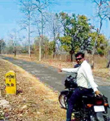 Contractor's Pride in Tadoba Wildlife Sanctuary | ताडोबा अभयारण्यात ठेकेदाराचा प्रताप Contractor's Pride in Tadoba Wildlife Sanctuary | ताडोबा अभयारण्यात ठेकेदाराचा प्रताप