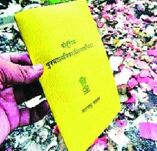 Benefits of food security for bogus beneficiaries | बोगस लाभार्थ्यांनाही अन्न सुरक्षेचा लाभ Benefits of food security for bogus beneficiaries | बोगस लाभार्थ्यांनाही अन्न सुरक्षेचा लाभ