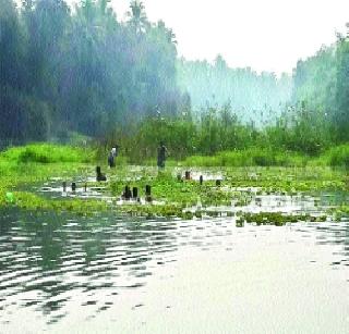 Free breathing will be eligible for the occupancy | भोगावतीचे पात्र घेणार मोकळा श्वास