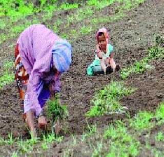 Agriculture and Rural Development; Welcome direction | शेती व ग्रामीण विकास; स्वागतार्ह दिशा Agriculture and Rural Development; Welcome direction | शेती व ग्रामीण विकास; स्वागतार्ह दिशा
