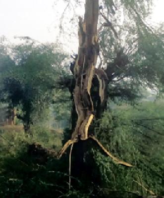 Umbarkar's family came to 'God bless him who suffers' affair | उंबरकर कुटुंबीयांना आला ‘देव तारी त्याला कोण मारी’चा प्रत्यय