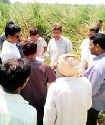 When will help hailstorm victims? | गारपीटग्रस्तांना कधी मिळणार मदत?