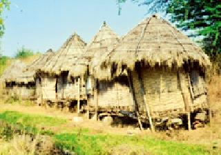 Farmers' wing ... | शेतकऱ्यांचे गोडावून ...