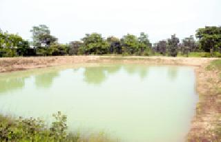 From the farm to the Green Revolution | शेततळ्यातून हरितक्रांतीकडे From the farm to the Green Revolution | शेततळ्यातून हरितक्रांतीकडे