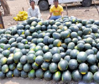 Heavy influx of turquoise: | टरबुजाची प्रचंड आवक :