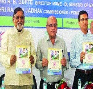 ... while promoting small scale industries | ...तर लघुउद्योगांना चालना