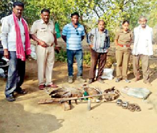 Peacocks hunting at Sagana, Kamthi Shivar | सुरगाव, कामठी शिवारात मोरांची शिकार Peacocks hunting at Sagana, Kamthi Shivar | सुरगाव, कामठी शिवारात मोरांची शिकार