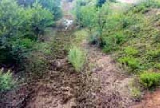 Water in the right canal dry the left canal | उजवा कालव्यात पाणी डावा कालवा कोरडा