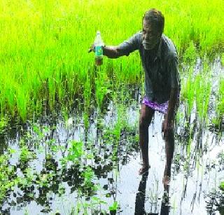 Seduction for the sewage pipeline | सांडपाण्याच्या पाईपलाईनसाठी प्रलोभने