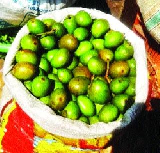 Carri's big arrivals in Mahad | महाडमध्ये कैरीची मोठी आवक