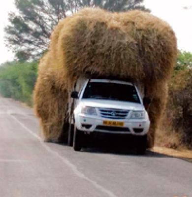 Dangerous transport ... | धोकादायक वाहतूक...