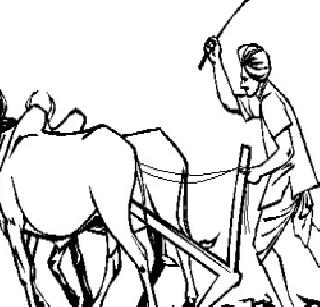 Crop Coverage for Farmers, Insurance, Organic Farming | शेतकऱ्यांना पीककर्ज, विमा, सेंद्रिय शेतीसाठी प्रोत्साहन