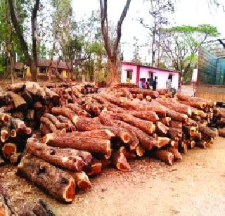 Theft of broken chests | चोरून तोडलेले खैराचे ओंडके जप्त Theft of broken chests | चोरून तोडलेले खैराचे ओंडके जप्त