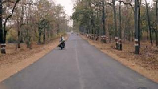 Animal Hunting Activists | प्राण्यांची शिकार करणारी टोळी सक्रीय