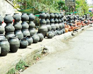 Moth grew 'craze' ... | माठाची वाढली ‘क्रेझ’... Moth grew 'craze' ... | माठाची वाढली ‘क्रेझ’...