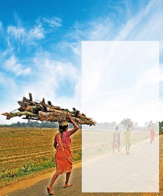 Wilderness Revolver | जंगलावर वरवंटा