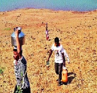 Water pipes | पाण्यासाठी बायाबापड्यांची पायपीट Water pipes | पाण्यासाठी बायाबापड्यांची पायपीट