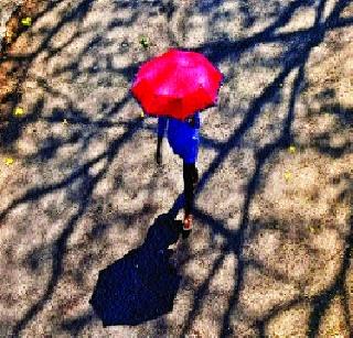 Before the Holi celebrate Vaisakha | होळीआधीच वैशाख वणवा Before the Holi celebrate Vaisakha | होळीआधीच वैशाख वणवा