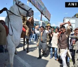 BJP MLA has given horse to inhuman assault, broken legs | भाजपा आमदाराने घोड्याला केली अमानुष मारहाण, तोडला पाय BJP MLA has given horse to inhuman assault, broken legs | भाजपा आमदाराने घोड्याला केली अमानुष मारहाण, तोडला पाय