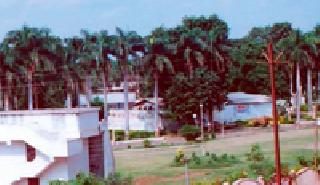 Two crores savings of funds from Azad Bagh | आझाद बागेतून मनपाची दोन कोटींची बचत Two crores savings of funds from Azad Bagh | आझाद बागेतून मनपाची दोन कोटींची बचत