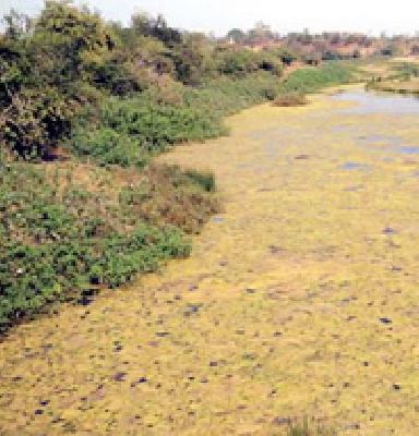 The depth of the Bor river basin offers dust | बोर नदीपात्राचा खोलीकरण प्रस्ताव धूळ खात