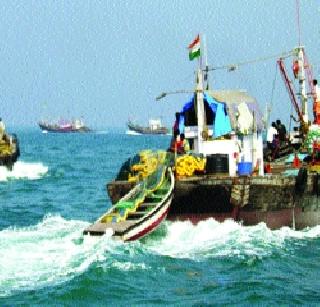 How much of a prison sentence is on parcein? | ‘पर्ससीन’वरील बंदी कितपत योग्य? How much of a prison sentence is on parcein? | ‘पर्ससीन’वरील बंदी कितपत योग्य?