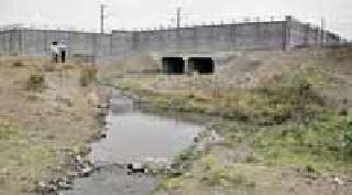 Betrayal by Sophia, Farmer Deshododi | सोफियाकडून विश्वासघात, शेतकरी देशोधडीला Betrayal by Sophia, Farmer Deshododi | सोफियाकडून विश्वासघात, शेतकरी देशोधडीला