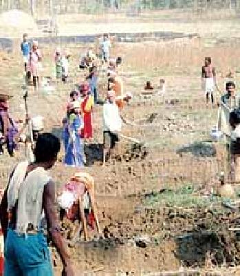 The work of supporting the ROHS is 91% | रोहयो मजुराच्या आधार सिडिंगचे काम ९१ टक्के