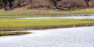 Only nine percent of water stock in the Nilona project | निळोणा प्रकल्पात केवळ नऊ टक्के पाणीसाठा